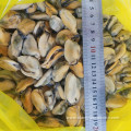 frozen cooked full shell mussels